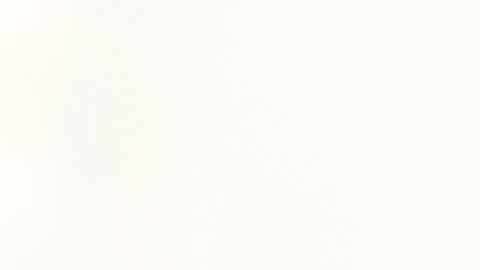 Mujer demanda IRS por su perro