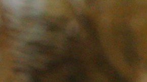 Un grupo de aficionados espera en la 6ta Avenida de Nueva York a que se anuncien las ciudades sedes del Mundial de 2026, el jueves 16 de junio de 2022 (AP Foto/Noah K. Murray)