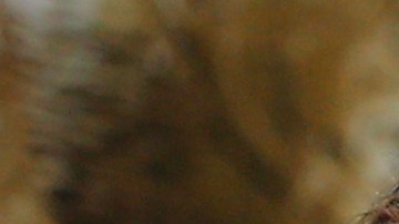 Un grupo de aficionados espera en la 6ta Avenida de Nueva York a que se anuncien las ciudades sedes del Mundial de 2026, el jueves 16 de junio de 2022 (AP Foto/Noah K. Murray)