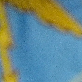 Nueva visa tarjeta dorada de Trump