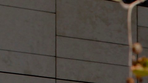 Los Angeles police officers stand alert at the LAPD headquarters in Los Angeles on Tuesday, Feb. 12, 2013. Police are now investigating more than 1,000 tips from the public in the search for the Christopher Dorner, who is suspected of a deadly revenge plot against the Los Angeles Police Department. The number of tips has grown from an initial 250 since the city offered a $1 million reward for information leading to the capture of Dorner. (AP Photo/Nick Ut)