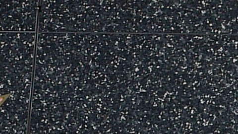 The Hollywood Walk of Fame is pictured on Tuesday, Aug. 23, 2016, in Los Angeles. (Photo by Chris Pizzello/Invision/AP)