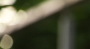 Correr con pesas en los tobillos: ¿es recomendable o causa lesiones?