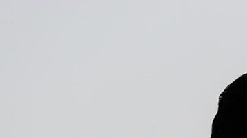 Peter Hegseth, secretario de Defensa