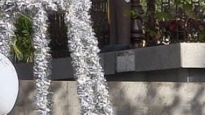 Pino de la Esperanza