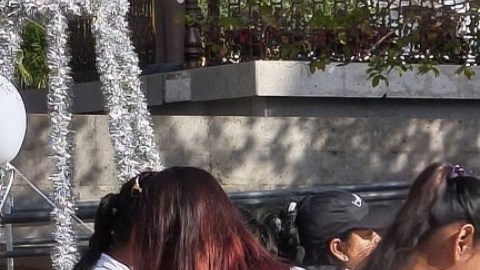 Pino de la Esperanza