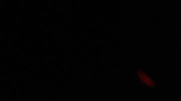 Isaac 'Pitbull' Cruz