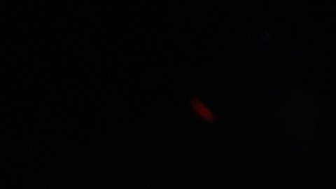 Isaac 'Pitbull' Cruz