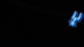 Pitbull Cruz vs. Lamont Roach