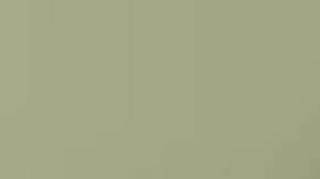 Raven Louise Broniecki