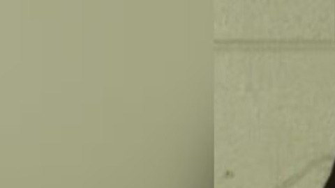 Raven Louise Broniecki