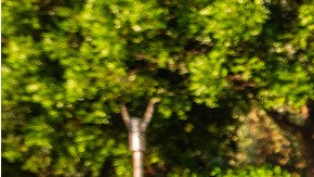 Referencia del Honda Fit