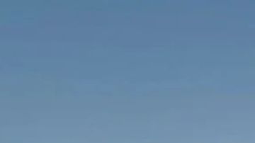 Referencia del Nissan Altima 2025