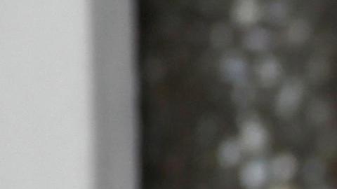 Republicanos y demócratas critican indulto a Juan Orlando Hernández; Schumer acusa hipocresía de Donald Trump