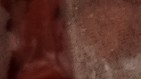 Retiran carne molida de res en varias localidades por posible contaminación con E. coli