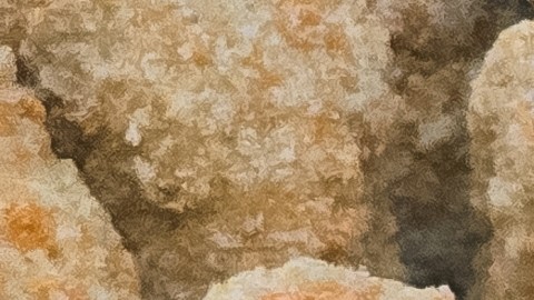 Retiran del mercado más de 27,500 kilos de pollo cocido