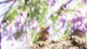 El Revvl 8 Pro cuenta con conectividad 5G, carga rápida y un módulo de triple cámara trasera para ofrecer una experiencia completa