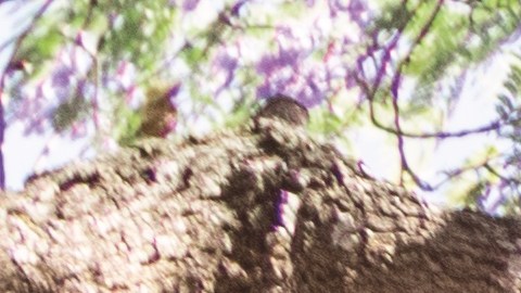 El Revvl 8 Pro cuenta con conectividad 5G, carga rápida y un módulo de triple cámara trasera para ofrecer una experiencia completa