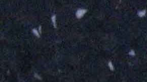 Estrella de Rob Reiner en el Paseo de la Fama de Hollywood con flores colocadas tras su muerte.