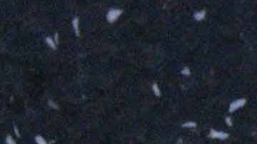 Estrella de Rob Reiner en el Paseo de la Fama de Hollywood con flores colocadas tras su muerte.