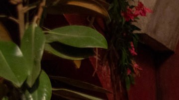 De romance aún nada en "Doménica Montero".