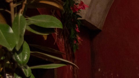 De romance aún nada en "Doménica Montero".