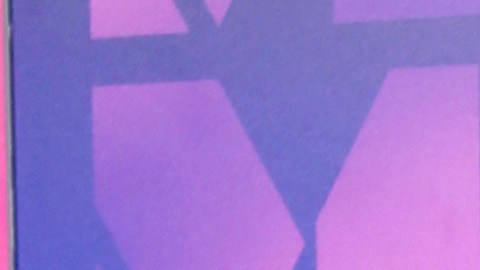 Salma Hayek Frida Khalo