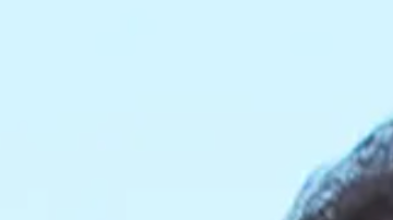 El conservador Nasry Asfura y el liberal Salvador Nasralla en la recta final por la Presidencia de Honduras.