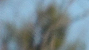 FILE - U.S. Postal Service trucks park outside a post office in Wheeling, Ill., Monday, Jan. 29, 2024. (AP Photo/Nam Y. Huh, File)