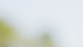 En cada respiro se reconstruye la memoria, revela estudio