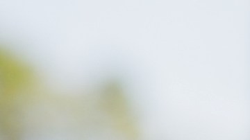 En cada respiro se reconstruye la memoria, revela estudio