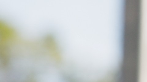 En cada respiro se reconstruye la memoria, revela estudio