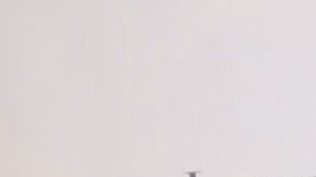 Thalía Tommy Mottola