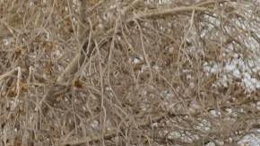 SUN VILLAGE (United States), 26/12/2025.- People look as floodwaters wash out East Palmdale Boulevard in Sun Village, California, USA, 26 December 2025. Rainstorms dropped six inches (15 cm) of rain in Los Angeles County, with up to three times as much in the mountains, according to the National Weather Service, prompting evacuations and road closures. EFE/EPA/TED SOQUI