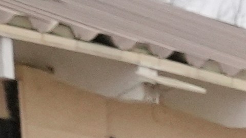 A woman is detained by U.S. Border Patrol agents outside a Home Depot Friday, Aug. 15, 2025, in Los Angeles. (AP Photo/Gregory Bull)