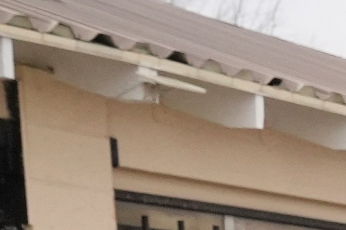 A woman is detained by U.S. Border Patrol agents outside a Home Depot Friday, Aug. 15, 2025, in Los Angeles. (AP Photo/Gregory Bull)