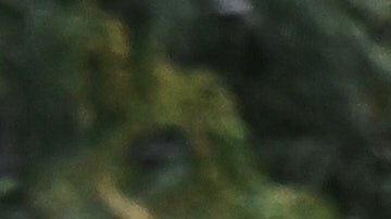 Mud is cleared by tractor after a series of storms on Thursday, Dec. 25, 2025, in Wrightwood, Calif. (AP Photo/William Liang)