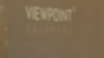 Victoria Ruffo Aislinn Derbez