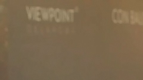 Victoria Ruffo Aislinn Derbez