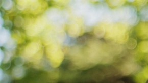 Estudio revela un factor clave para mantener el corazón joven y más saludable