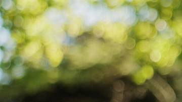 Estudio revela un factor clave para mantener el corazón joven y más saludable