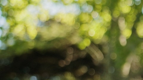 Estudio revela un factor clave para mantener el corazón joven y más saludable