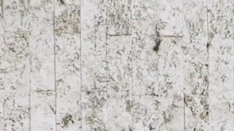 A Los Angeles Police patrol car is parked outside the Kol Yakov Yehuda in Los Angeles, Saturday, Oct. 7, 2023. (AP Photo/Damian Dovarganes)