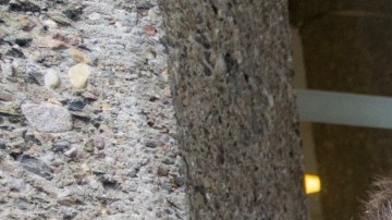 Más allá de la fiestas y vacaciones: hacer el bien también nos hace sentir bien