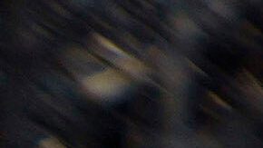 ¡'Zootopia 2' supera a 'Lilo & Stitch' y se convierte en la película más taquillera de 2025!