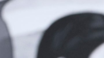 Sheinbaum celebra nuevo libro de López Obrador y afirma que su Gobierno está "muy fuerte"