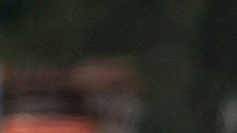 Los oficiales encontraron al profesor escondido detrás de un árbol, portando una pistola de perdigones.