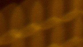 El Año de la Serpiente culmina el 17 de febrero de 2026.