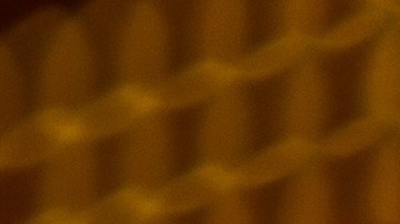 El Año de la Serpiente culmina el 17 de febrero de 2026.