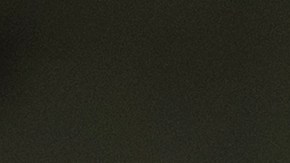 A través de un comunicado, el DHS detalló que la detención estuvo a cargo de agentes de ICE y de Investigaciones de Seguridad Nacional (HSI).